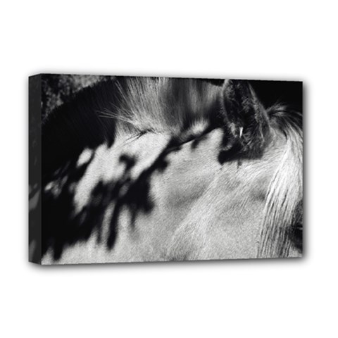 Horse Deluxe Canvas 18  X 12  (stretched) by artposters