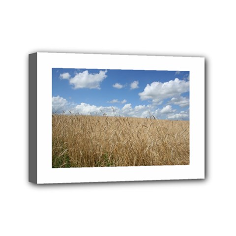 Gettysburg 1 068 Mini Canvas 7  X 5  (framed) by plainandsimple
