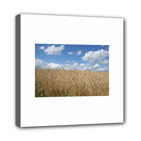 Grain And Sky Mini Canvas 8  X 8  (framed) by plainandsimple