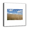 Grain and Sky Mini Canvas 8  x 8  (Framed) View1