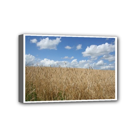 Grain And Sky Mini Canvas 6  X 4  (framed) by plainandsimple