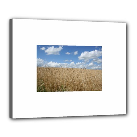 Grain And Sky Canvas 20  X 16  (framed) by plainandsimple
