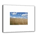 Grain and Sky Canvas 20  x 16  (Framed) View1