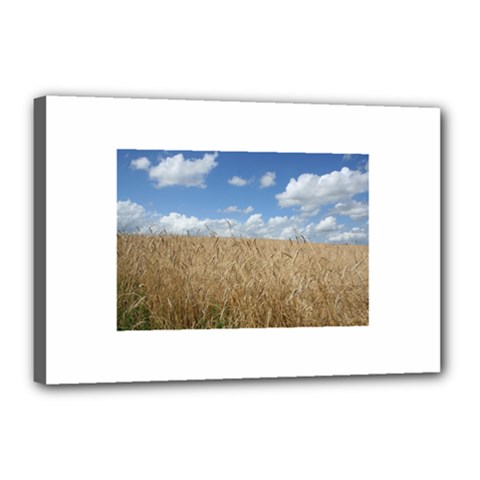 Grain And Sky Canvas 18  X 12  (framed) by plainandsimple