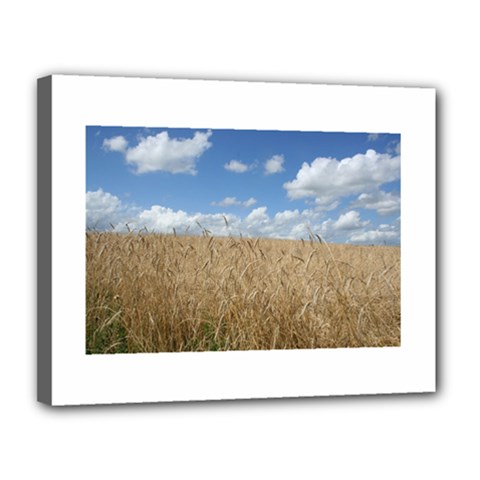 Grain And Sky Canvas 14  X 11  (framed) by plainandsimple