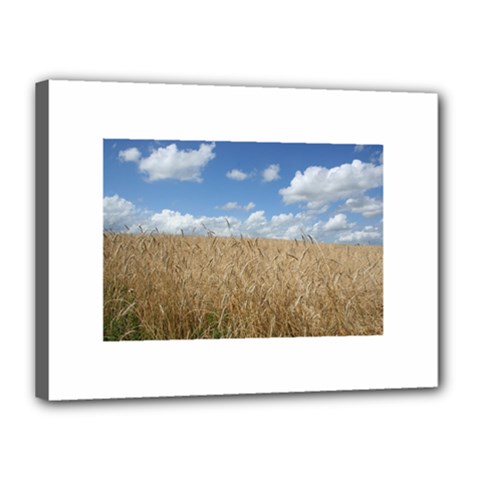 Grain And Sky Canvas 16  X 12  (framed) by plainandsimple