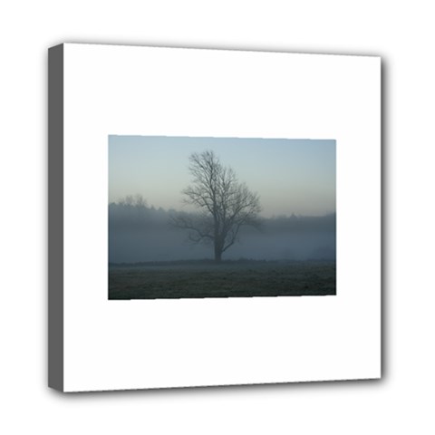 Foggy Tree Mini Canvas 8  X 8  (framed) by plainandsimple