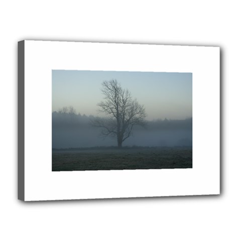 Foggy Tree Canvas 16  X 12  (framed) by plainandsimple