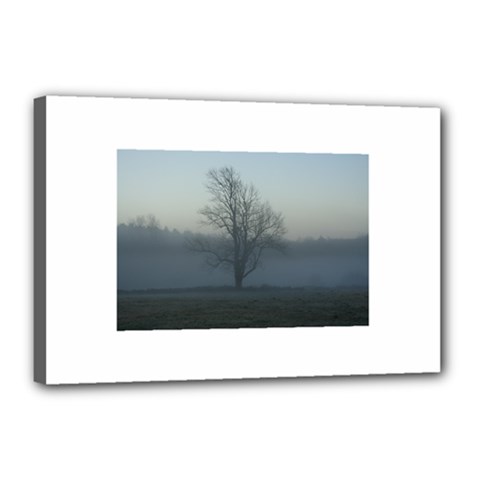 Foggy Tree Canvas 18  X 12  (framed) by plainandsimple