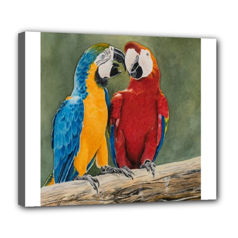 Feathered Friends Deluxe Canvas 24  X 20  (framed) by TonyaButcher