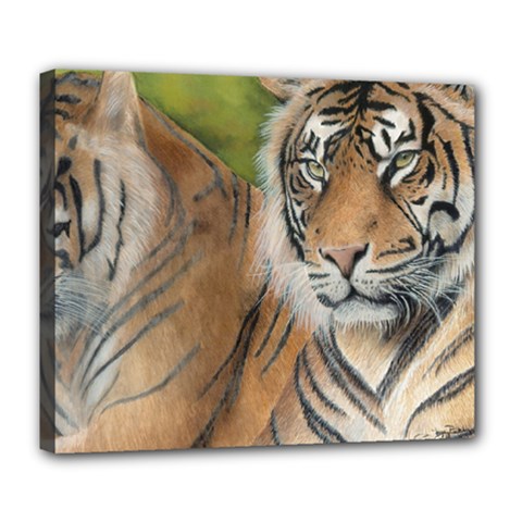 Soft Protection Deluxe Canvas 24  X 20  (framed) by TonyaButcher