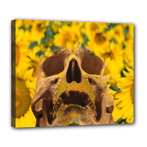 Sunflowers Deluxe Canvas 24  X 20  (framed) by icarusismartdesigns