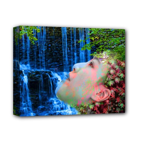 Fountain Of Youth Deluxe Canvas 14  X 11  (framed) by icarusismartdesigns