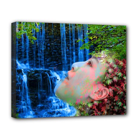 Fountain Of Youth Deluxe Canvas 20  X 16  (framed) by icarusismartdesigns