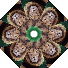 Lion Hook Handle Umbrellas (large) by ArtByThree