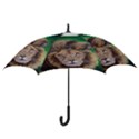 Lion Hook Handle Umbrellas (Small) View3