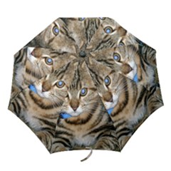 Blue-eyed Kitty Folding Umbrellas by trendistuff