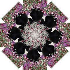 Freckles In Flowers Ii, Black White Tux Cat Straight Umbrellas by DianeClancy