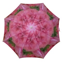 Pink Roses Straight Umbrellas by GabriellaDavid