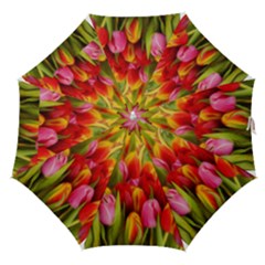 Colorful Tulips Painting Straight Umbrellas by GabriellaDavid