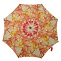 Monotype Art Pattern Leaves Colored Autumn Hook Handle Umbrellas (Large) View1