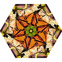 Monarch Butterfly Nature Orange Mini Folding Umbrellas by Amaryn4rt