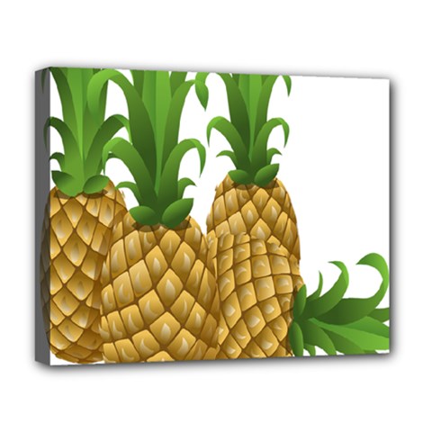 Pineapples Tropical Fruits Foods Deluxe Canvas 20  X 16   by Nexatart