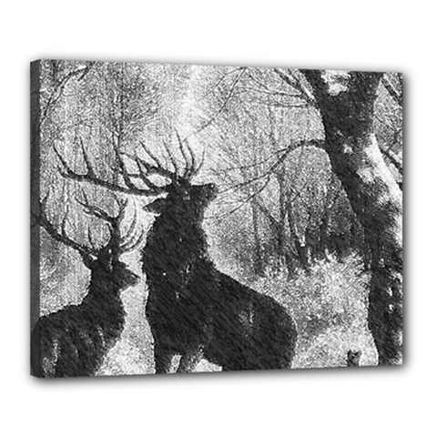Stag Deer Forest Winter Christmas Canvas 20  X 16  by Amaryn4rt