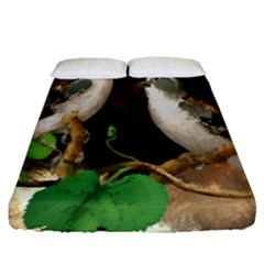 Backdrop Colorful Bird Decoration Fitted Sheet (queen Size) by Nexatart