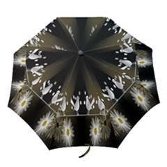Daisy Bird  Folding Umbrellas by Nexatart