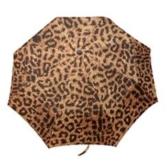 Leopard Print Animal Print Backdrop Folding Umbrellas by Nexatart
