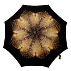 3d Beautiful Peacock Hook Handle Umbrellas (large) by Amaryn4rt