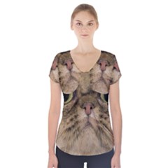 Cute Persian Cat Face In Closeup Short Sleeve Front Detail Top by Amaryn4rt
