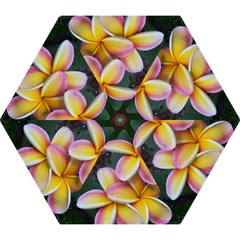 Premier Mix Flower Mini Folding Umbrellas by alohaA