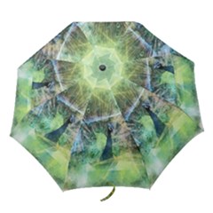 Digitally Painted Abstract Style Watercolour Painting Of A Peacock Folding Umbrellas by Simbadda