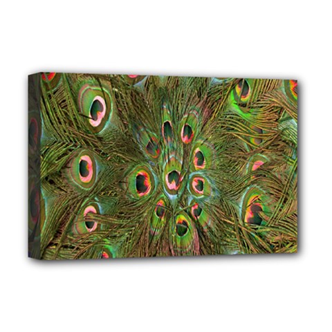 Peacock Feathers Green Background Deluxe Canvas 18  X 12   by Simbadda