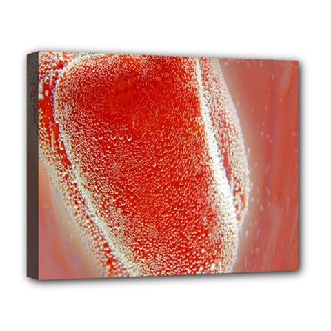 Red Pepper And Bubbles Deluxe Canvas 20  X 16   by Amaryn4rt