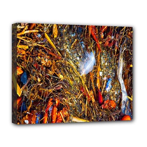 Abstract In Orange Sealife Background Abstract Of Ocean Beach Seaweed And Sand With A White Feather Deluxe Canvas 20  X 16   by Nexatart