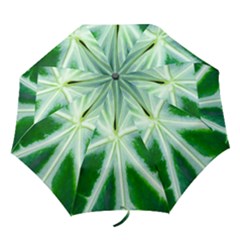 Green Leaf Macro Detail Folding Umbrellas by Nexatart