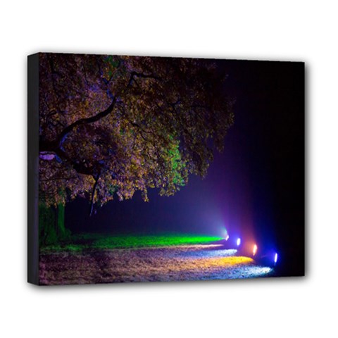 Illuminated Trees At Night Deluxe Canvas 20  X 16   by Nexatart