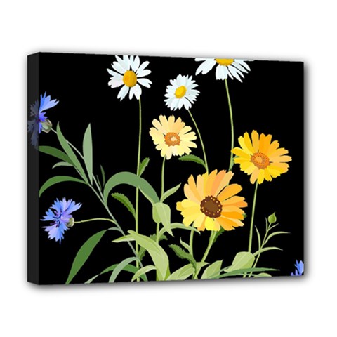 Flowers Of The Field Deluxe Canvas 20  X 16   by Nexatart