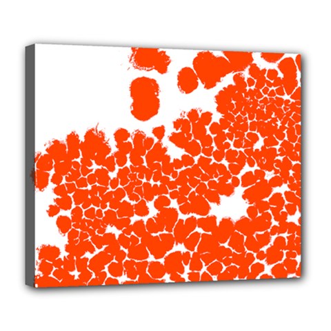 Red Spot Paint White Polka Deluxe Canvas 24  X 20   by Mariart
