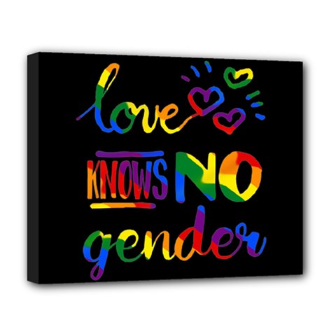 Love Knows No Gender Deluxe Canvas 20  X 16   by Valentinaart