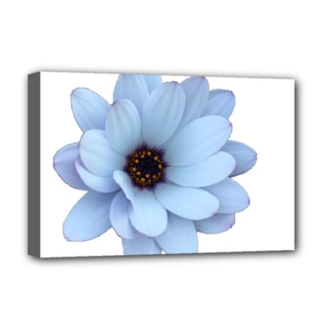Daisy Flower Floral Plant Summer Deluxe Canvas 18  X 12   by Nexatart