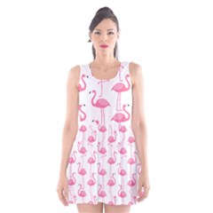 Pink Flamingos Pattern Scoop Neck Skater Dress by Nexatart