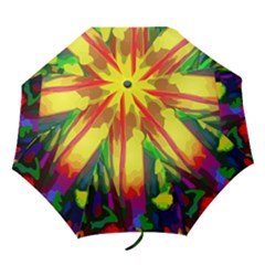 Abstract Vibrant Colour Botany Folding Umbrellas by Nexatart