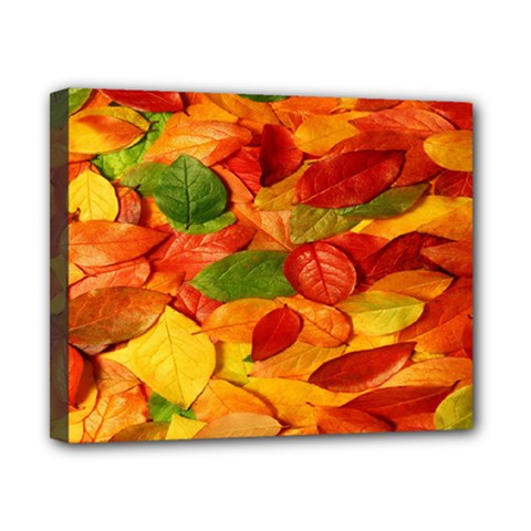 Leaves Texture Canvas 10  X 8  by BangZart