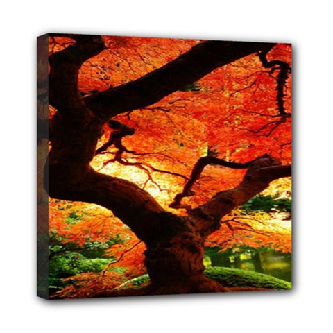 Maple Tree Nice Mini Canvas 8  X 8  by BangZart