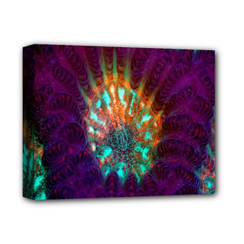Live Green Brain Goniastrea Underwater Corals Consist Small Deluxe Canvas 14  X 11  by Mariart