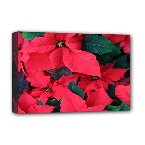 Red Poinsettia Flower Deluxe Canvas 18  X 12   by Mariart